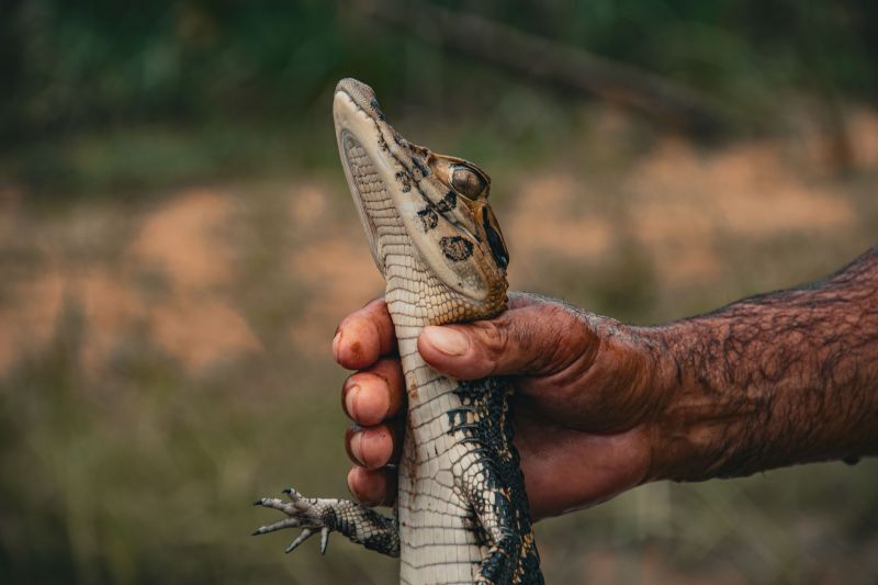  <div class='credito_fotos'>Foto: Victor Baia / Divulgação &nbsp;&nbsp;|&nbsp;&nbsp; <a href='/midias/2024/originais/18004_07bdb661-6603-34fc-54ce-f8452bd81114.jpg' download><i class='fa-solid fa-download'></i> Download</a></div>