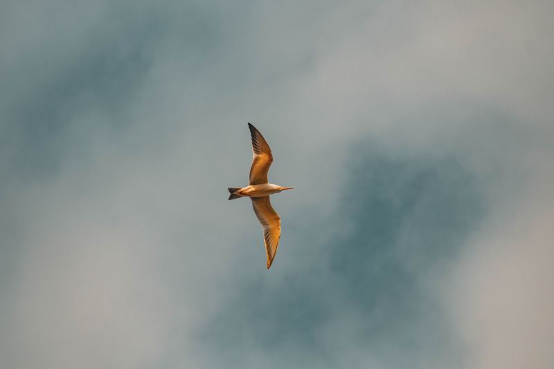  <div class='credito_fotos'>Foto: Victor Baia / Divulgação &nbsp;&nbsp;|&nbsp;&nbsp; <a href='/midias/2024/originais/18004_31ee4e5b-51fa-caaf-9961-5dc633a36e67.jpg' download><i class='fa-solid fa-download'></i> Download</a></div>