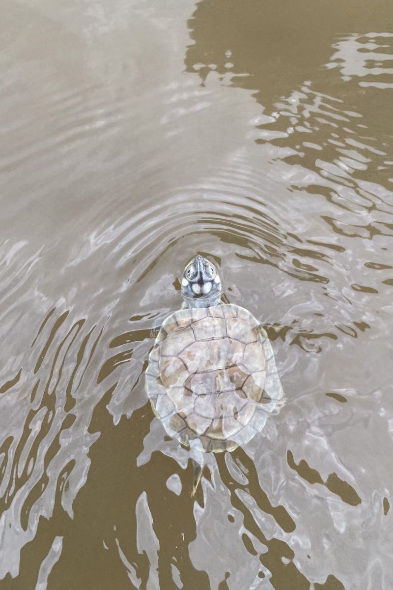  <div class='credito_fotos'>Foto: Victor Baia / Divulgação &nbsp;&nbsp;|&nbsp;&nbsp; <a href='/midias/2024/originais/18004_3eac9a84-5dcb-e928-d0d8-01e8b308455b.jpg' download><i class='fa-solid fa-download'></i> Download</a></div>