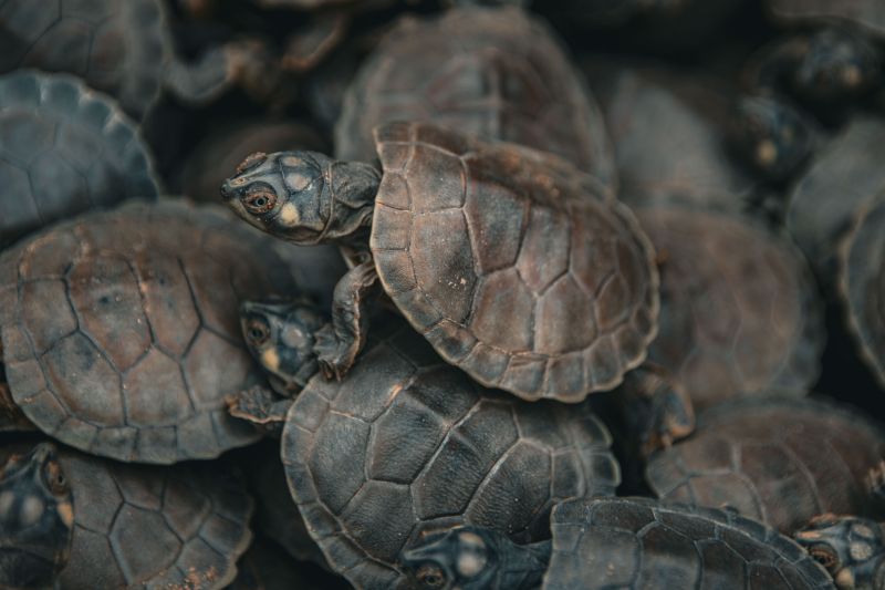  <div class='credito_fotos'>Foto: Victor Baia / Divulgação &nbsp;&nbsp;|&nbsp;&nbsp; <a href='/midias/2024/originais/18004_3f19b737-3fe5-d978-e0f9-f8036a872796.jpg' download><i class='fa-solid fa-download'></i> Download</a></div>