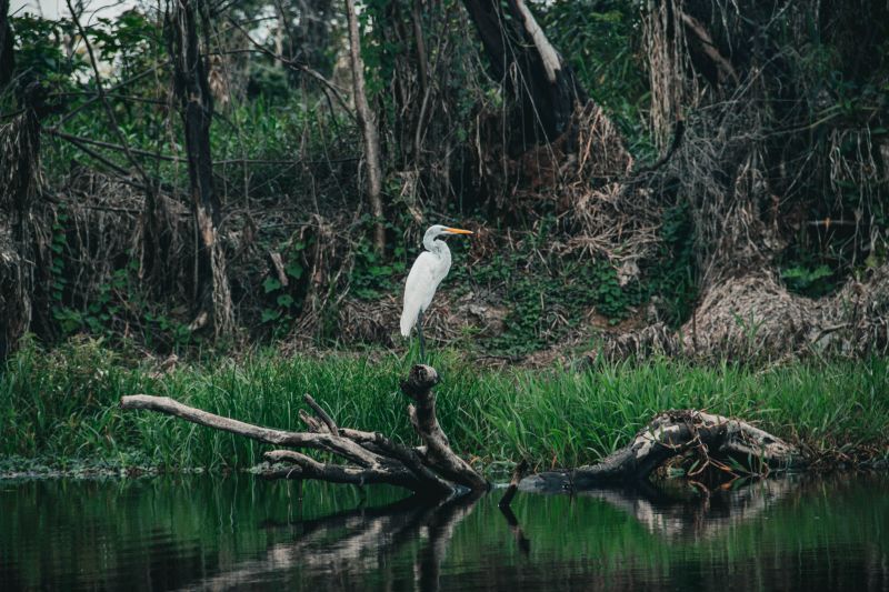  <div class='credito_fotos'>Foto: Victor Baia / Divulgação &nbsp;&nbsp;|&nbsp;&nbsp; <a href='/midias/2024/originais/18004_44c219c4-0108-6116-b8f0-18e69ce64d18.jpg' download><i class='fa-solid fa-download'></i> Download</a></div>