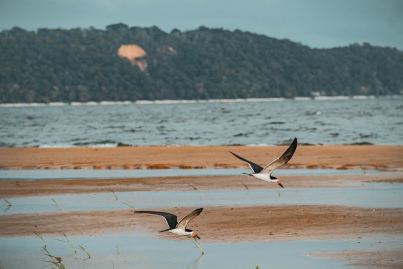  <div class='credito_fotos'>Foto: Victor Baia / Divulgação &nbsp;&nbsp;|&nbsp;&nbsp; <a href='/midias/2024/originais/18004_4a35ef10-188b-2dee-8eb4-d5aafafda279.jpg' download><i class='fa-solid fa-download'></i> Download</a></div>