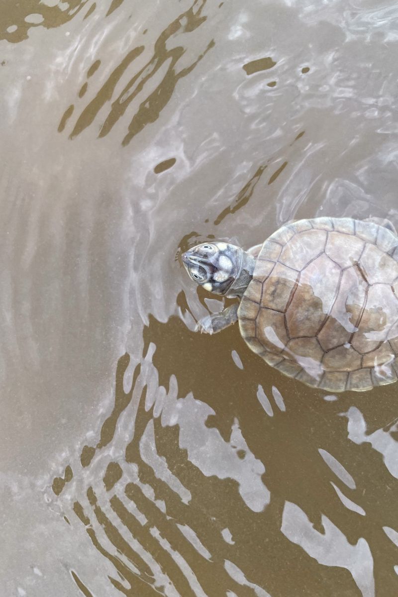  <div class='credito_fotos'>Foto: Victor Baia / Divulgação &nbsp;&nbsp;|&nbsp;&nbsp; <a href='/midias/2024/originais/18004_4f146e38-09e5-d41a-93b7-292adf35c948.jpg' download><i class='fa-solid fa-download'></i> Download</a></div>