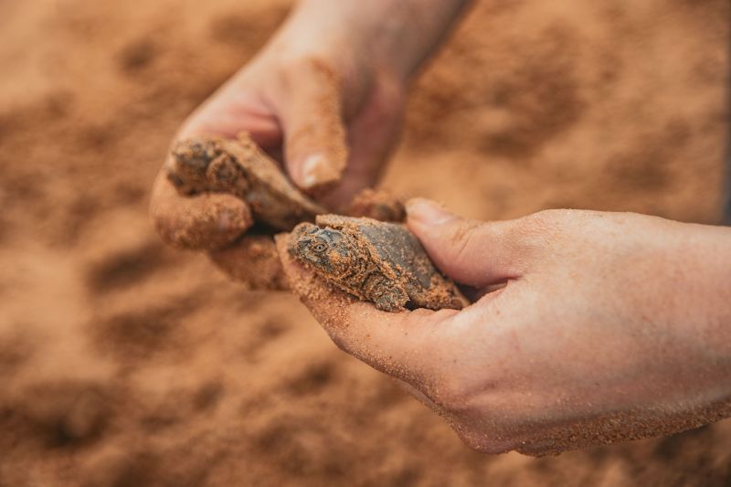  <div class='credito_fotos'>Foto: Victor Baia / Divulgação &nbsp;&nbsp;|&nbsp;&nbsp; <a href='/midias/2024/originais/18004_6446b5c5-d67c-0cc6-e644-ae84e838a84a.jpg' download><i class='fa-solid fa-download'></i> Download</a></div>