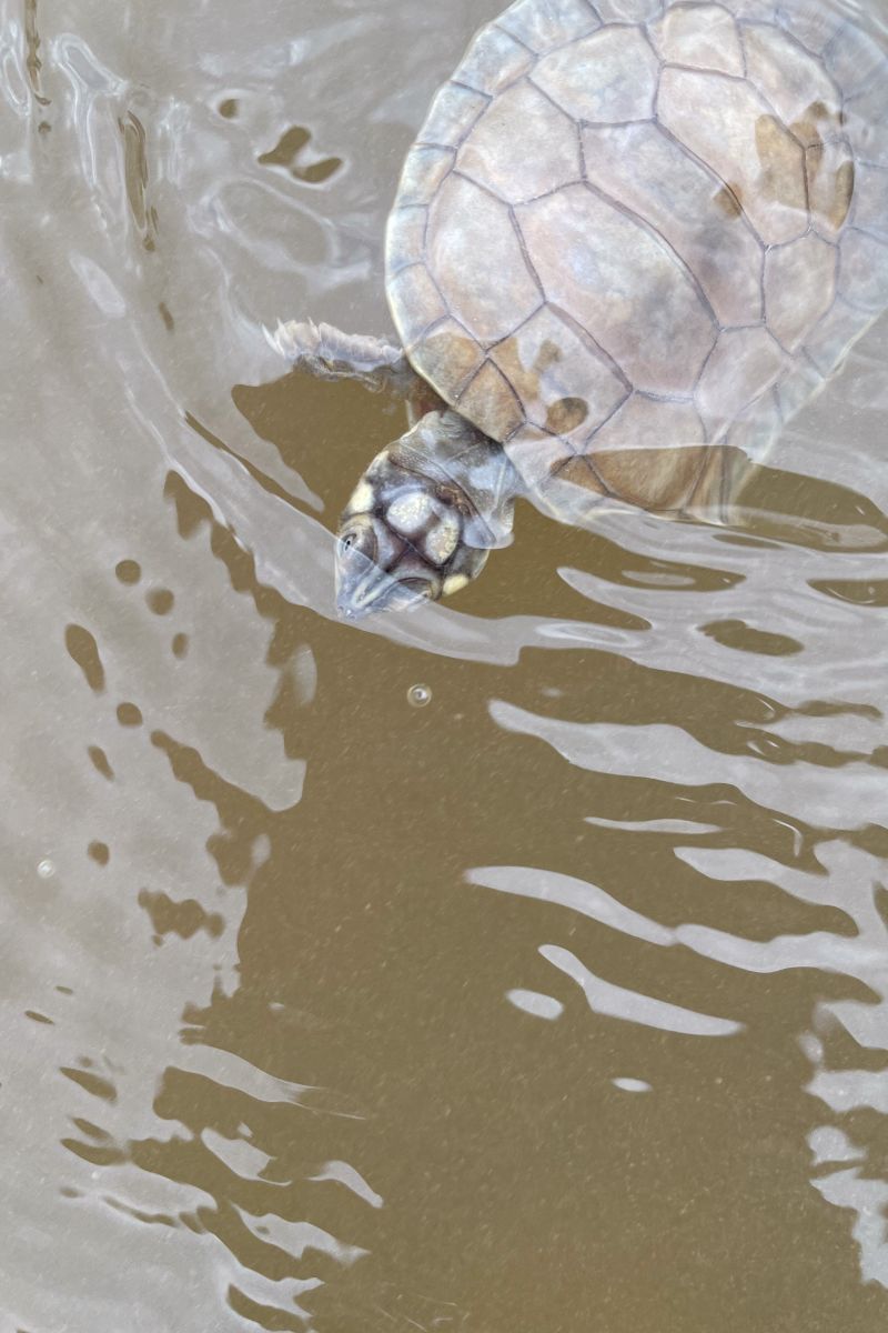  <div class='credito_fotos'>Foto: Victor Baia / Divulgação &nbsp;&nbsp;|&nbsp;&nbsp; <a href='/midias/2024/originais/18004_a1adc52d-69b9-2fff-d84e-c2aae3dbd4b6.jpg' download><i class='fa-solid fa-download'></i> Download</a></div>