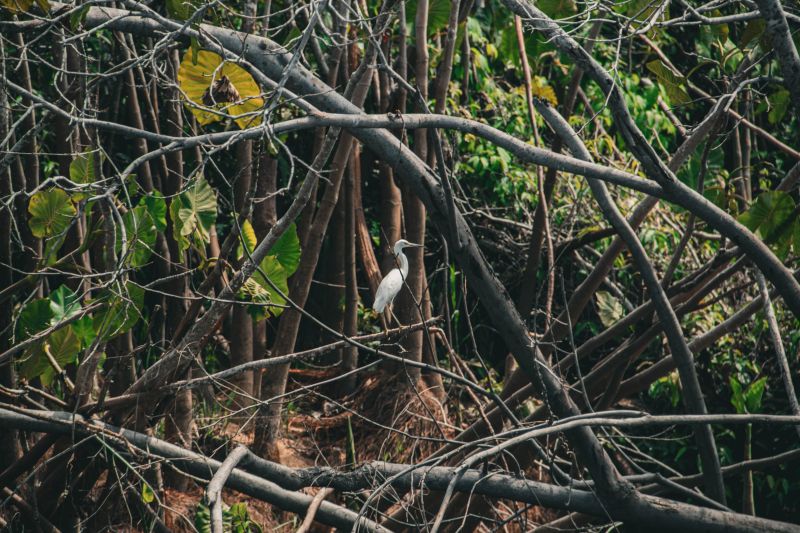  <div class='credito_fotos'>Foto: Victor Baia / Divulgação &nbsp;&nbsp;|&nbsp;&nbsp; <a href='/midias/2024/originais/18004_aec741ef-7fe7-de0f-e010-fd7c5773061c.jpg' download><i class='fa-solid fa-download'></i> Download</a></div>