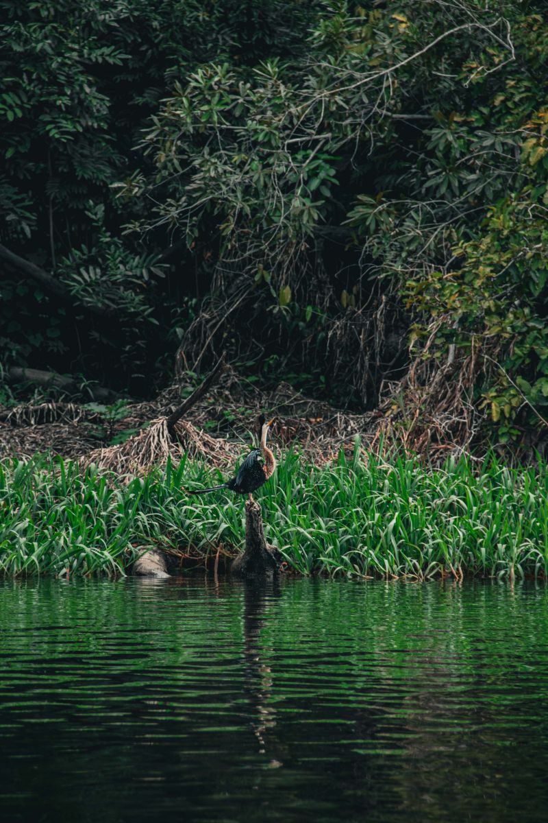  <div class='credito_fotos'>Foto: Victor Baia / Divulgação &nbsp;&nbsp;|&nbsp;&nbsp; <a href='/midias/2024/originais/18004_cdfeaca6-17dd-50d2-7114-5663f887ec18.jpg' download><i class='fa-solid fa-download'></i> Download</a></div>