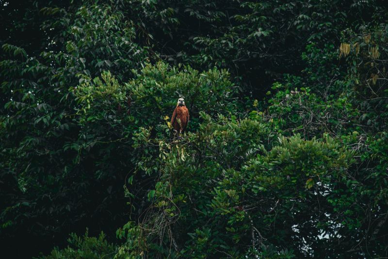  <div class='credito_fotos'>Foto: Victor Baia / Divulgação &nbsp;&nbsp;|&nbsp;&nbsp; <a href='/midias/2024/originais/18004_d57f75f7-67ea-fa6a-20cb-202b17f4252b.jpg' download><i class='fa-solid fa-download'></i> Download</a></div>