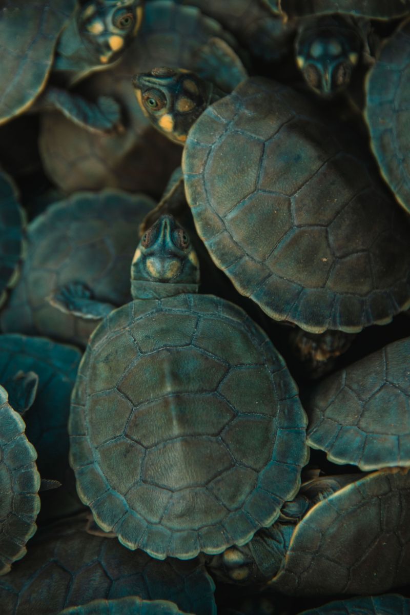  <div class='credito_fotos'>Foto: Victor Baia / Divulgação &nbsp;&nbsp;|&nbsp;&nbsp; <a href='/midias/2024/originais/18004_d613f4d8-81ec-d71f-0918-b7e81e94bd5c.jpg' download><i class='fa-solid fa-download'></i> Download</a></div>