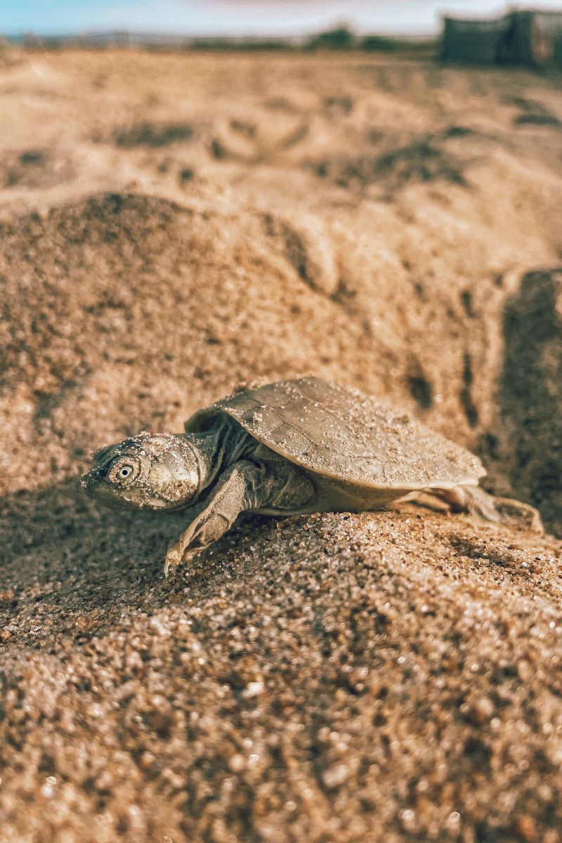  <div class='credito_fotos'>Foto: Victor Baia / Divulgação &nbsp;&nbsp;|&nbsp;&nbsp; <a href='/midias/2024/originais/18004_db89efa0-be7d-aa3c-4449-2f70e0654039.jpg' download><i class='fa-solid fa-download'></i> Download</a></div>