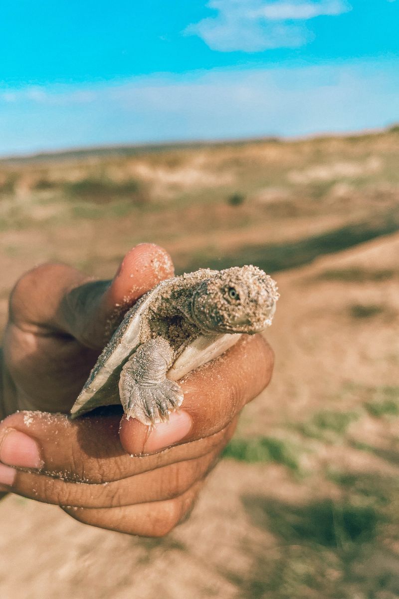  <div class='credito_fotos'>Foto: Victor Baia / Divulgação &nbsp;&nbsp;|&nbsp;&nbsp; <a href='/midias/2024/originais/18004_e1ec9b5e-20f5-e8bd-c716-235091cf01fa.jpg' download><i class='fa-solid fa-download'></i> Download</a></div>