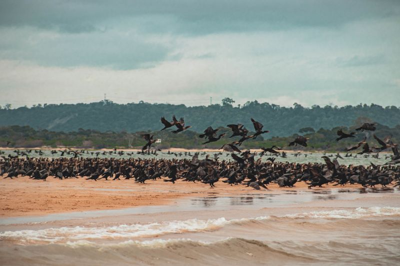  <div class='credito_fotos'>Foto: Victor Baia / Divulgação &nbsp;&nbsp;|&nbsp;&nbsp; <a href='/midias/2024/originais/18004_ee389db2-22c6-e8ca-2cb1-c54bf3c68107.jpg' download><i class='fa-solid fa-download'></i> Download</a></div>