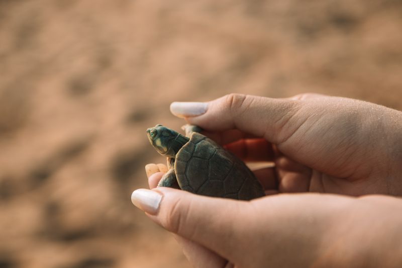  <div class='credito_fotos'>Foto: Victor Baia / Divulgação &nbsp;&nbsp;|&nbsp;&nbsp; <a href='/midias/2024/originais/18004_f4e1edf4-fe72-8247-5a40-56aa26b3e021.jpg' download><i class='fa-solid fa-download'></i> Download</a></div>