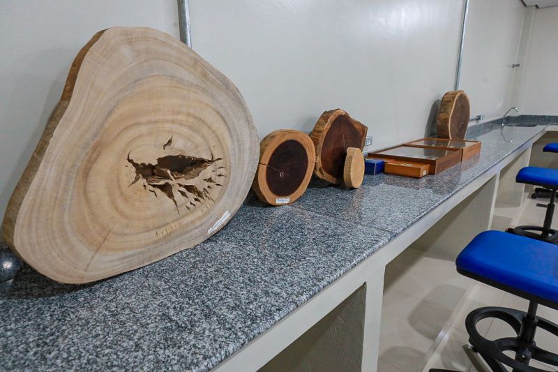  <div class='credito_fotos'>Foto: Alex Ribeiro / Ag. Pará &nbsp;&nbsp;|&nbsp;&nbsp; <a href='/midias/2024/originais/18015_88b54898-1094-d11f-06f4-11915d42b19c.jpg' download><i class='fa-solid fa-download'></i> Download</a></div>