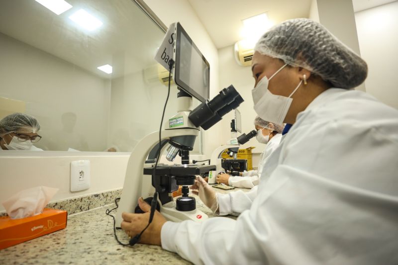  <div class='credito_fotos'>Foto: Bruno Cecim / Ag.Pará &nbsp;&nbsp;|&nbsp;&nbsp; <a href='/midias/2024/originais/18025_2fa6bd23-828a-a2c2-6dd4-2fe9458c62f5.jpg' download><i class='fa-solid fa-download'></i> Download</a></div>