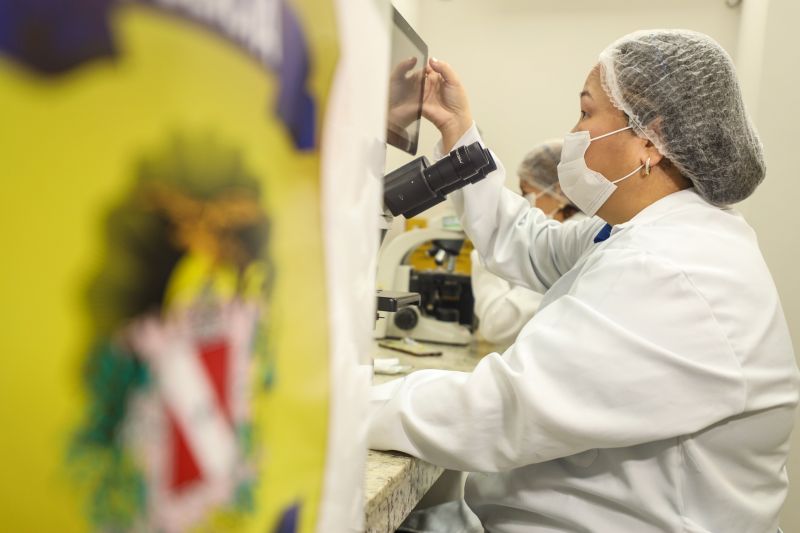  <div class='credito_fotos'>Foto: Bruno Cecim / Ag.Pará &nbsp;&nbsp;|&nbsp;&nbsp; <a href='/midias/2024/originais/18025_5d2e90b2-2ea8-6d1a-be24-a041614c3212.jpg' download><i class='fa-solid fa-download'></i> Download</a></div>