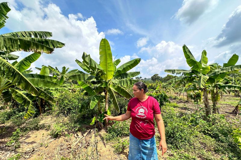 Mariza Matos <div class='credito_fotos'>Foto: Vinícius Leal / Ascom Ideflor-Bio &nbsp;&nbsp;|&nbsp;&nbsp; <a href='/midias/2024/originais/18029_00190424-182e-8ee2-a768-cfe4f6d4757c.jpg' download><i class='fa-solid fa-download'></i> Download</a></div>