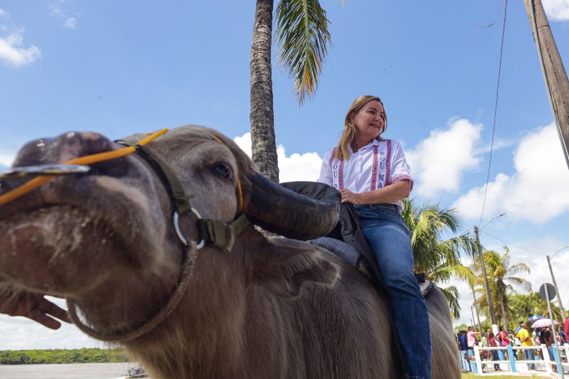  <div class='credito_fotos'>Foto: Pedro Guerreiro / Ag. Pará &nbsp;&nbsp;|&nbsp;&nbsp; <a href='/midias/2024/originais/18062_1356f909-718c-a306-e3cf-9acfb64d83df.jpg' download><i class='fa-solid fa-download'></i> Download</a></div>