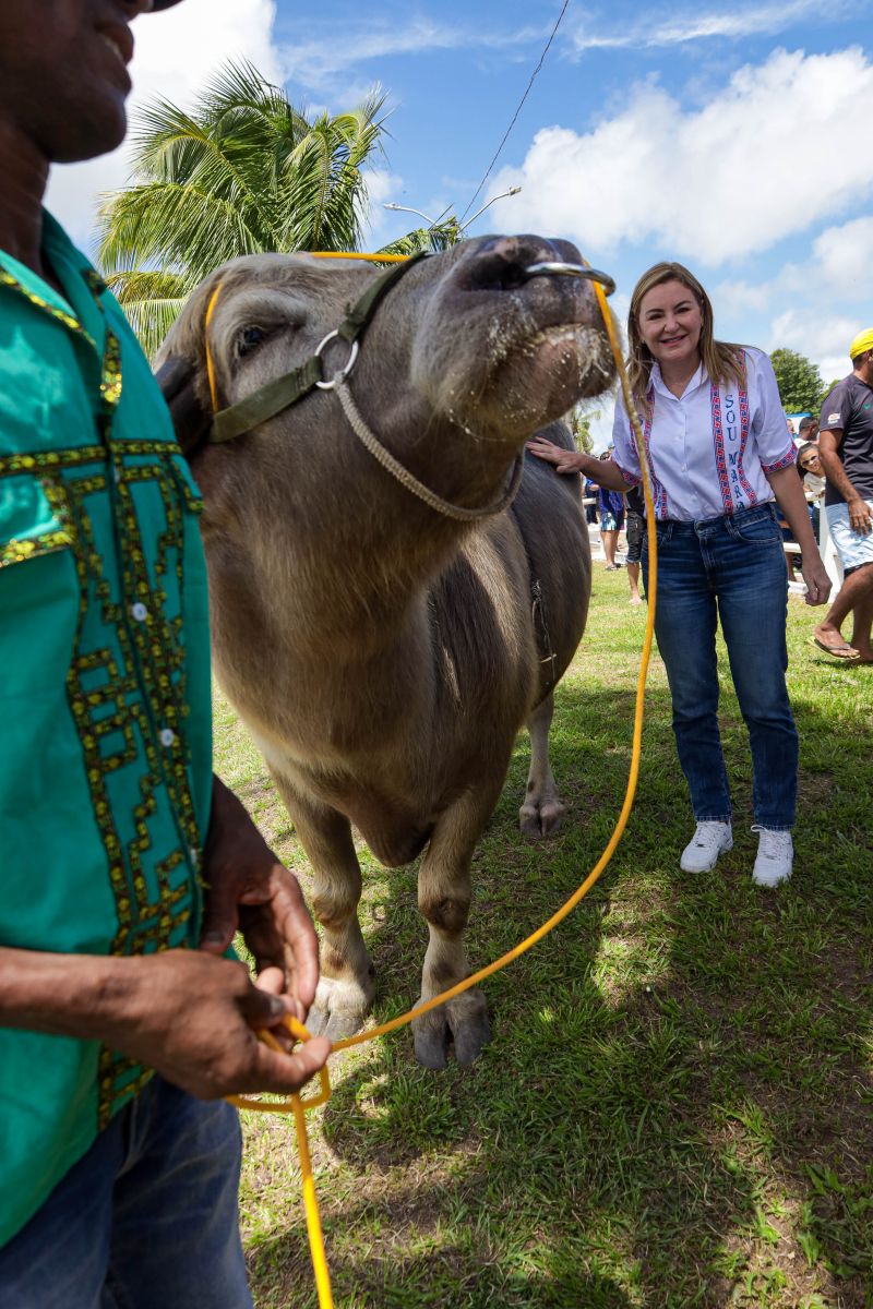  <div class='credito_fotos'>Foto: Pedro Guerreiro / Ag. Pará &nbsp;&nbsp;|&nbsp;&nbsp; <a href='/midias/2024/originais/18062_383263ed-5383-a753-92a1-b8216242389c.jpg' download><i class='fa-solid fa-download'></i> Download</a></div>