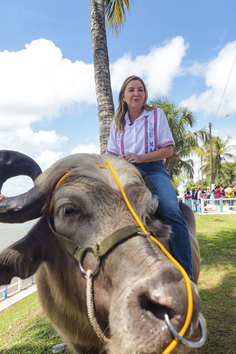  <div class='credito_fotos'>Foto: Pedro Guerreiro / Ag. Pará &nbsp;&nbsp;|&nbsp;&nbsp; <a href='/midias/2024/originais/18062_9674b077-7412-4d3d-0973-df7e0944803a.jpg' download><i class='fa-solid fa-download'></i> Download</a></div>