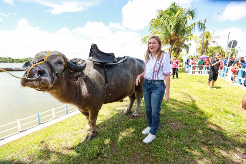  <div class='credito_fotos'>Foto: Alex Ribeiro / Ag. Pará &nbsp;&nbsp;|&nbsp;&nbsp; <a href='/midias/2024/originais/18063_8a05676d-f754-5b0a-6889-6a497951969c.jpg' download><i class='fa-solid fa-download'></i> Download</a></div>