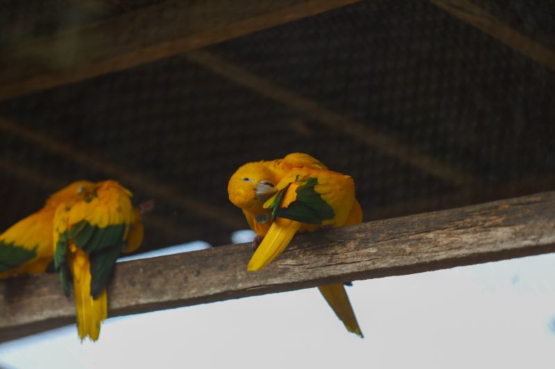  <div class='credito_fotos'>Foto: Rodrigo Pinheiro / Ag.Pará &nbsp;&nbsp;|&nbsp;&nbsp; <a href='/midias/2024/originais/18073_82ce2a3a-341a-34c6-63ce-fa8ebf5ef62f.jpg' download><i class='fa-solid fa-download'></i> Download</a></div>