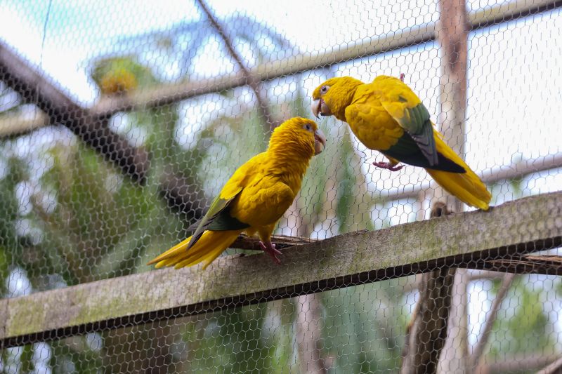  <div class='credito_fotos'>Foto: Rodrigo Pinheiro / Ag.Pará &nbsp;&nbsp;|&nbsp;&nbsp; <a href='/midias/2024/originais/18073_96d59c82-441e-05d1-bf9f-083189452db3.jpg' download><i class='fa-solid fa-download'></i> Download</a></div>