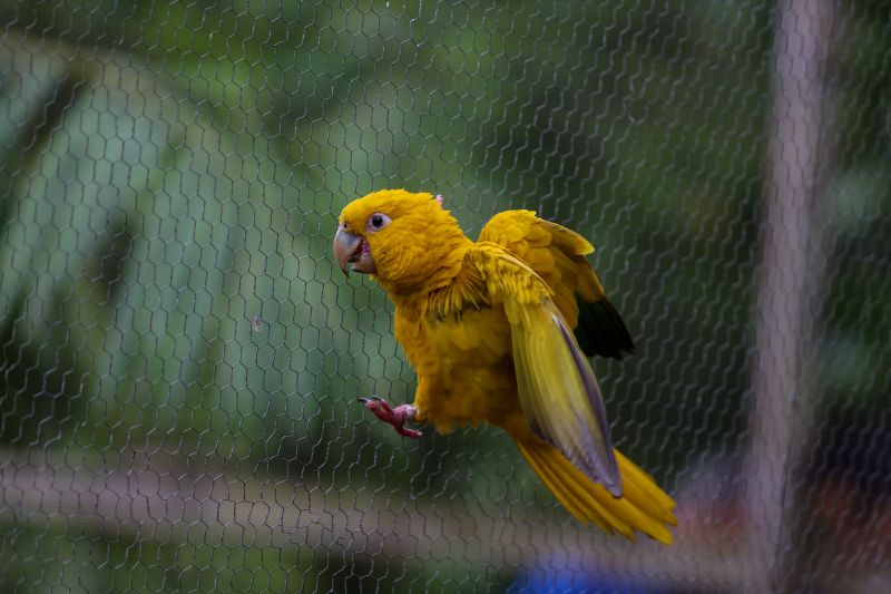  <div class='credito_fotos'>Foto: Rodrigo Pinheiro / Ag.Pará &nbsp;&nbsp;|&nbsp;&nbsp; <a href='/midias/2024/originais/18073_a673725e-db5b-f10f-6413-a837bffa59b0.jpg' download><i class='fa-solid fa-download'></i> Download</a></div>