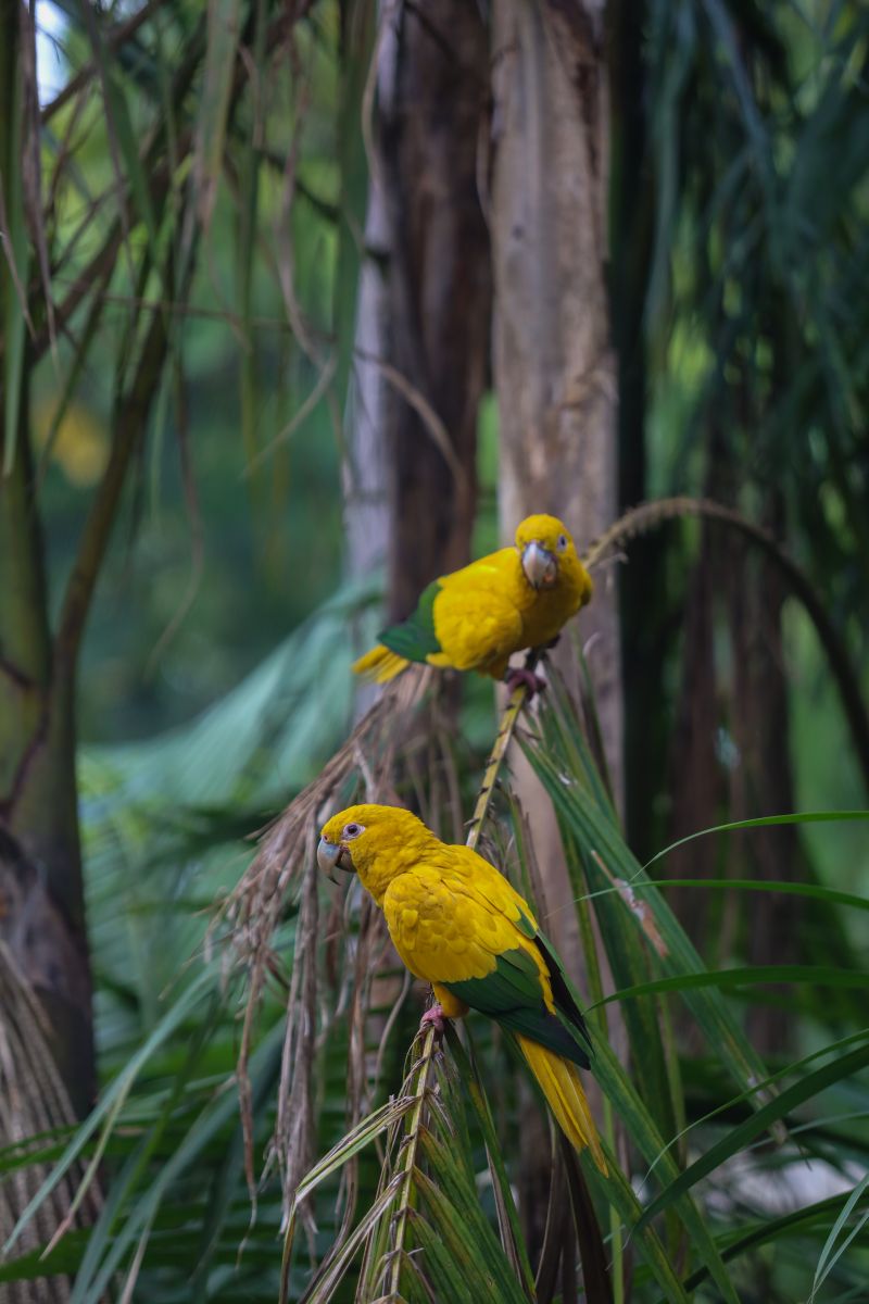  <div class='credito_fotos'>Foto: Rodrigo Pinheiro / Ag.Pará &nbsp;&nbsp;|&nbsp;&nbsp; <a href='/midias/2024/originais/18073_aa85ba6e-9da0-278a-4c7a-fe28ecdaf645.jpg' download><i class='fa-solid fa-download'></i> Download</a></div>