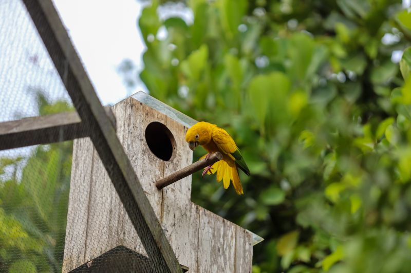  <div class='credito_fotos'>Foto: Rodrigo Pinheiro / Ag.Pará &nbsp;&nbsp;|&nbsp;&nbsp; <a href='/midias/2024/originais/18073_cae0914a-e5b1-39be-c7d5-69438c0c2406.jpg' download><i class='fa-solid fa-download'></i> Download</a></div>