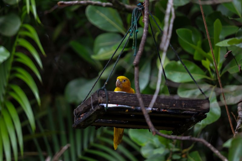  <div class='credito_fotos'>Foto: Rodrigo Pinheiro / Ag.Pará &nbsp;&nbsp;|&nbsp;&nbsp; <a href='/midias/2024/originais/18073_d74e7203-2190-11b3-9b1e-c87a081af56d.jpg' download><i class='fa-solid fa-download'></i> Download</a></div>