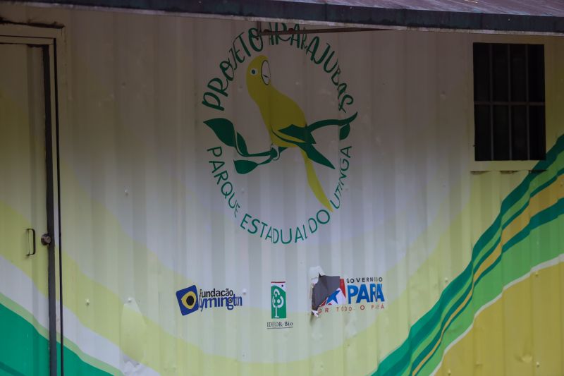  <div class='credito_fotos'>Foto: Rodrigo Pinheiro / Ag.Pará &nbsp;&nbsp;|&nbsp;&nbsp; <a href='/midias/2024/originais/18073_d9fa822d-6ab0-c723-b16c-20a84133b813.jpg' download><i class='fa-solid fa-download'></i> Download</a></div>