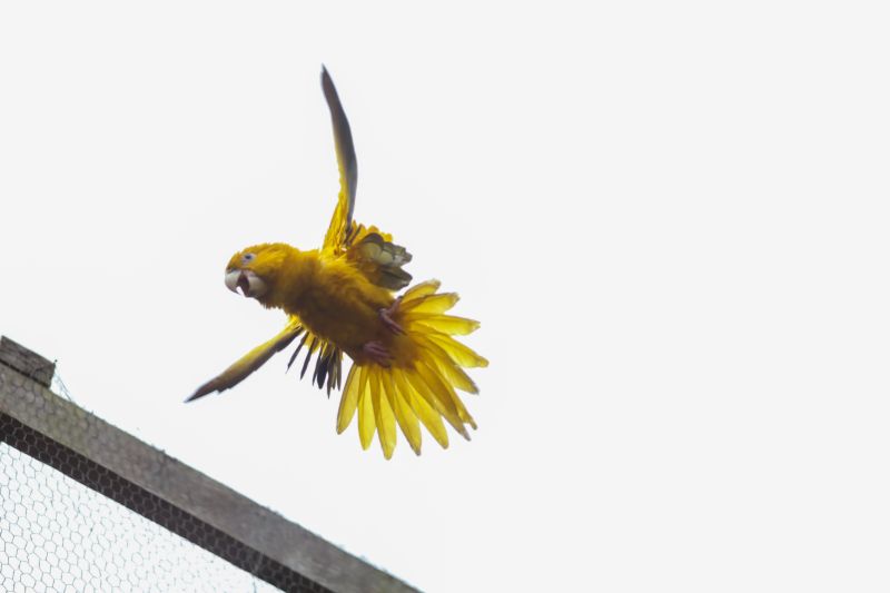  <div class='credito_fotos'>Foto: Rodrigo Pinheiro / Ag.Pará &nbsp;&nbsp;|&nbsp;&nbsp; <a href='/midias/2024/originais/18073_dc1bfb71-c787-7778-362c-d6ef99c9be2e.jpg' download><i class='fa-solid fa-download'></i> Download</a></div>