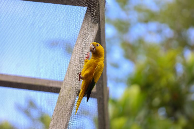  <div class='credito_fotos'>Foto: Rodrigo Pinheiro / Ag.Pará &nbsp;&nbsp;|&nbsp;&nbsp; <a href='/midias/2024/originais/18073_f9969db2-c71c-615d-5316-c35f50027275.jpg' download><i class='fa-solid fa-download'></i> Download</a></div>