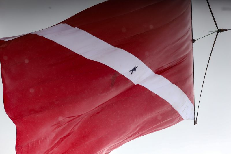  <div class='credito_fotos'>Foto: Bruno Carachesti / Agência Pará &nbsp;&nbsp;|&nbsp;&nbsp; <a href='/midias/2024/originais/18087_97b9b471-b33e-1af0-297e-6da42da00db4.jpg' download><i class='fa-solid fa-download'></i> Download</a></div>