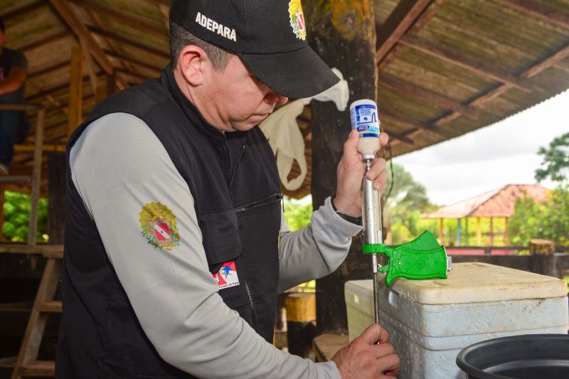  <div class='credito_fotos'>Foto: Divulgação / Ag. Pará &nbsp;&nbsp;|&nbsp;&nbsp; <a href='/midias/2024/originais/18097_186c8529-b9a8-aafc-a087-a393de0f8fa6.jpg' download><i class='fa-solid fa-download'></i> Download</a></div>