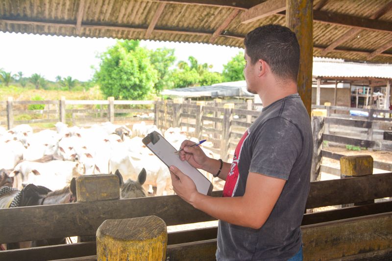  <div class='credito_fotos'>Foto: Divulgação / Ag. Pará &nbsp;&nbsp;|&nbsp;&nbsp; <a href='/midias/2024/originais/18097_37c4a18a-81ca-cd57-36de-e3ba9a5c14b3.jpg' download><i class='fa-solid fa-download'></i> Download</a></div>