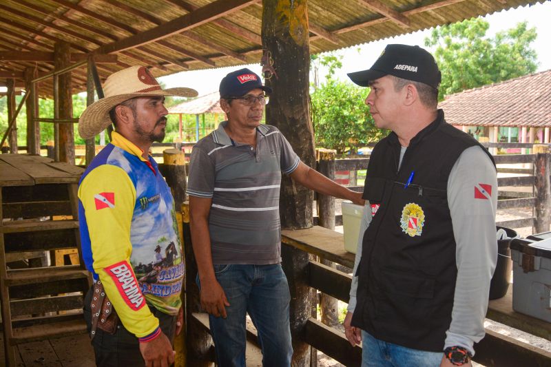  <div class='credito_fotos'>Foto: Divulgação / Ag. Pará &nbsp;&nbsp;|&nbsp;&nbsp; <a href='/midias/2024/originais/18097_44675c9a-d700-6476-9268-5389b10e1ee2.jpg' download><i class='fa-solid fa-download'></i> Download</a></div>