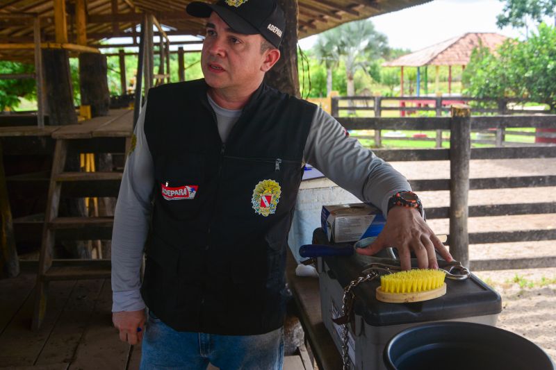  <div class='credito_fotos'>Foto: Divulgação / Ag. Pará &nbsp;&nbsp;|&nbsp;&nbsp; <a href='/midias/2024/originais/18097_6656ba2c-21ed-adc4-5709-f258c515036e.jpg' download><i class='fa-solid fa-download'></i> Download</a></div>