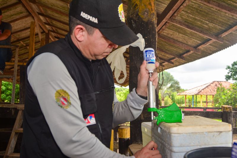  <div class='credito_fotos'>Foto: Divulgação / Ag. Pará &nbsp;&nbsp;|&nbsp;&nbsp; <a href='/midias/2024/originais/18097_67692919-e155-bf2d-114b-35ef68630d14.jpg' download><i class='fa-solid fa-download'></i> Download</a></div>