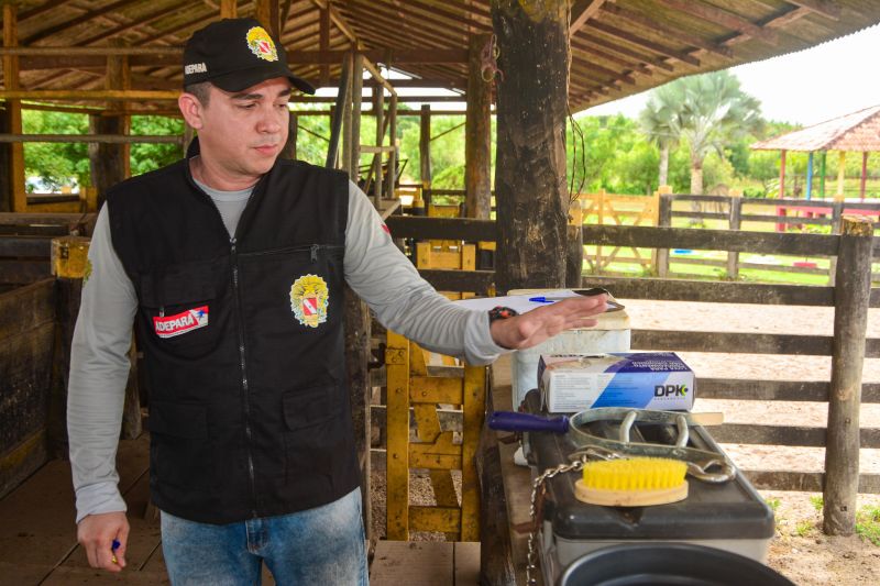  <div class='credito_fotos'>Foto: Divulgação / Ag. Pará &nbsp;&nbsp;|&nbsp;&nbsp; <a href='/midias/2024/originais/18097_8d5d6006-546d-ed75-6a8c-7710040fdb73.jpg' download><i class='fa-solid fa-download'></i> Download</a></div>