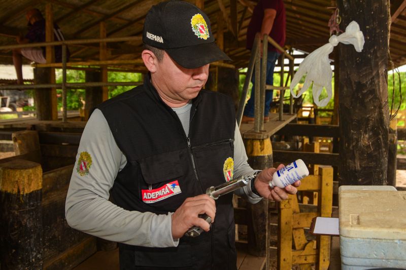  <div class='credito_fotos'>Foto: Divulgação / Ag. Pará &nbsp;&nbsp;|&nbsp;&nbsp; <a href='/midias/2024/originais/18097_c09c40c0-3793-cc1c-0968-ef0784f97b3a.jpg' download><i class='fa-solid fa-download'></i> Download</a></div>