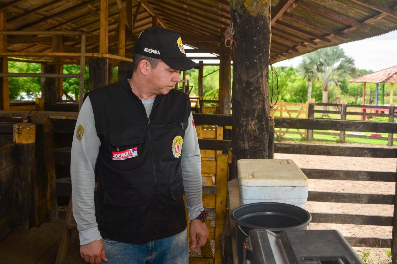  <div class='credito_fotos'>Foto: Divulgação / Ag. Pará &nbsp;&nbsp;|&nbsp;&nbsp; <a href='/midias/2024/originais/18097_df7b56c3-834b-6395-d71c-dd99704a0a97.jpg' download><i class='fa-solid fa-download'></i> Download</a></div>