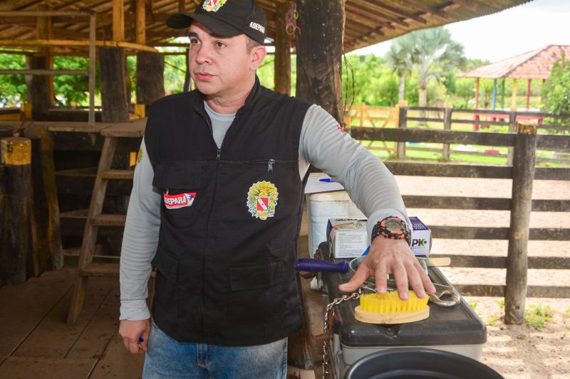  <div class='credito_fotos'>Foto: Divulgação / Ag. Pará &nbsp;&nbsp;|&nbsp;&nbsp; <a href='/midias/2024/originais/18097_ed4c0e0d-a421-5d6c-dcdd-9351025fe313.jpg' download><i class='fa-solid fa-download'></i> Download</a></div>