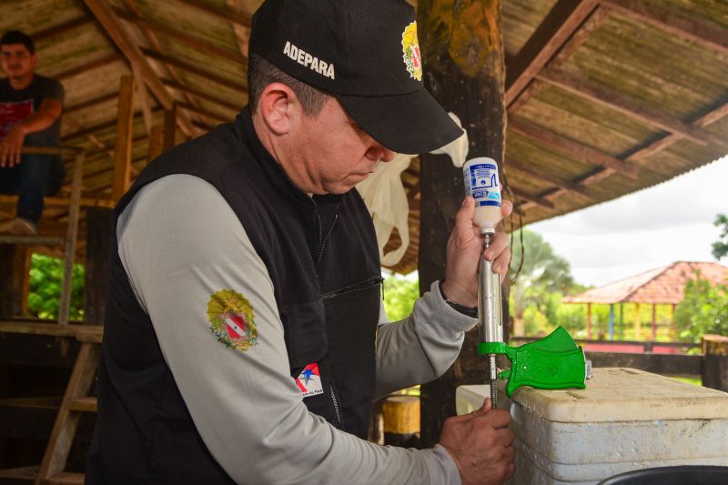  <div class='credito_fotos'>Foto: Divulgação / Ag. Pará &nbsp;&nbsp;|&nbsp;&nbsp; <a href='/midias/2024/originais/18097_f6c56d3f-4b63-1add-5b83-931330b0c52b.jpg' download><i class='fa-solid fa-download'></i> Download</a></div>