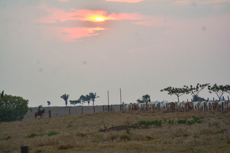  <div class='credito_fotos'>Foto: Divulgação / Ag. Pará &nbsp;&nbsp;|&nbsp;&nbsp; <a href='/midias/2024/originais/18098_5a7e02e0-101e-b8c2-2b8c-34420c1936a5.jpg' download><i class='fa-solid fa-download'></i> Download</a></div>