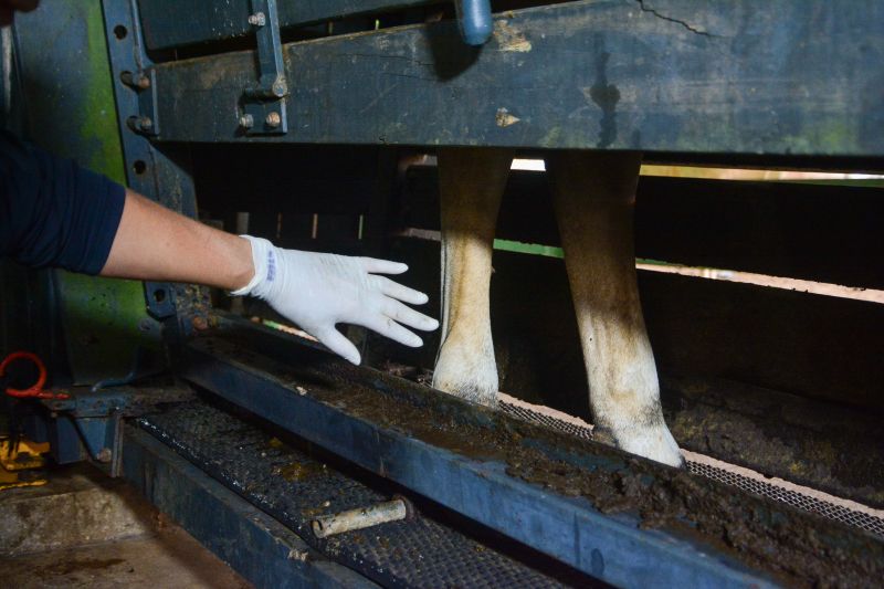  <div class='credito_fotos'>Foto: Divulgação / Ag. Pará &nbsp;&nbsp;|&nbsp;&nbsp; <a href='/midias/2024/originais/18098_d935fa5e-9622-7ecf-6a0f-1891dbb3f9e7.jpg' download><i class='fa-solid fa-download'></i> Download</a></div>