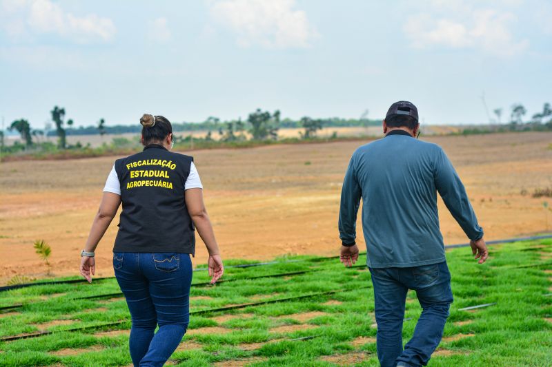  <div class='credito_fotos'>Foto: Divulgação / Ag. Pará &nbsp;&nbsp;|&nbsp;&nbsp; <a href='/midias/2024/originais/18099_1502b314-1c8e-abb2-d551-a9d19b39b963.jpg' download><i class='fa-solid fa-download'></i> Download</a></div>