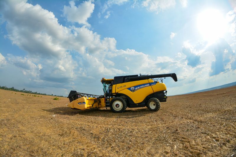  <div class='credito_fotos'>Foto: Divulgação / Ag. Pará &nbsp;&nbsp;|&nbsp;&nbsp; <a href='/midias/2024/originais/18099_1a26c12d-c5c7-35ff-a5e0-c6b28c770c24.jpg' download><i class='fa-solid fa-download'></i> Download</a></div>