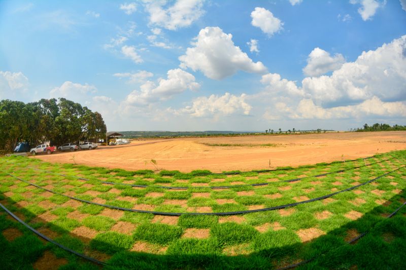  <div class='credito_fotos'>Foto: Divulgação / Ag. Pará &nbsp;&nbsp;|&nbsp;&nbsp; <a href='/midias/2024/originais/18099_2531f59b-a2dd-700b-2a45-c30754bb0bae.jpg' download><i class='fa-solid fa-download'></i> Download</a></div>